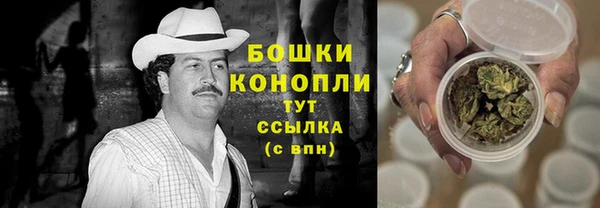 ALPHA PVP Гусев
