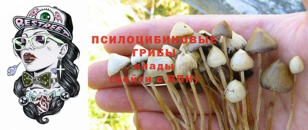 винт Гусь-Хрустальный