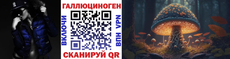 Галлюциногенные грибы Psilocybe  Купить закладки  Надым 